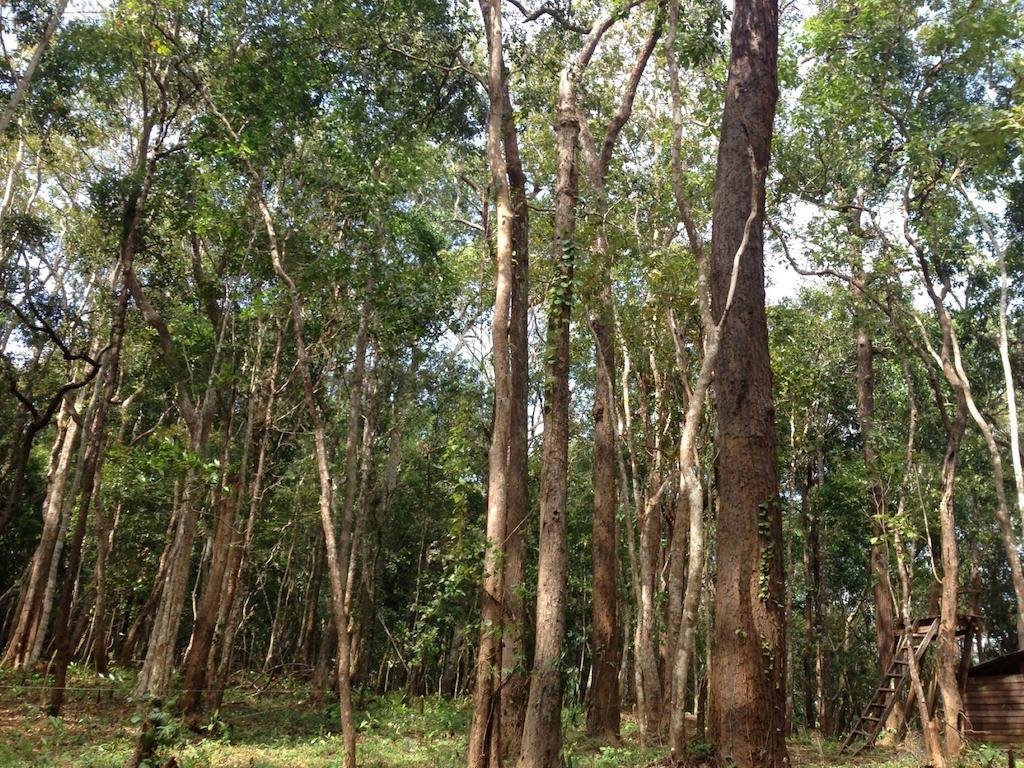 Mondulkiri Hotel Сенмонором Экстерьер фото